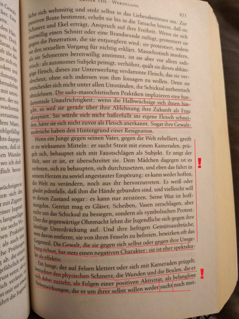 Beauvoir Facts VIII