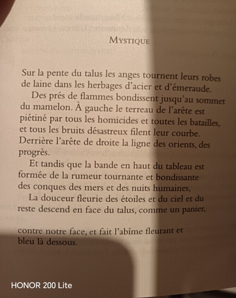 wp 17733490958761849061012474826449