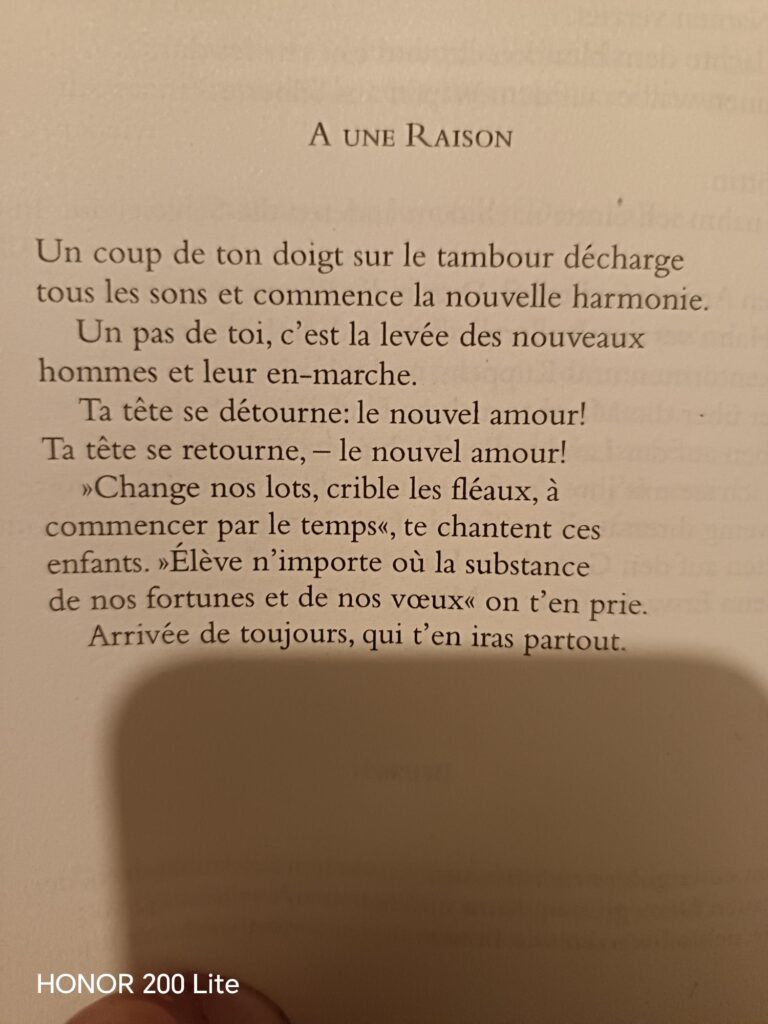 wp 17733861968253537483202299362002