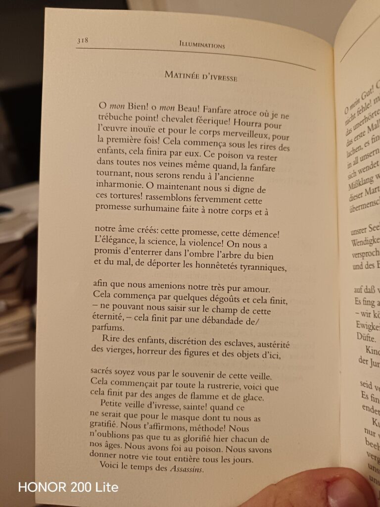 wp 17733862032838453454172538905694