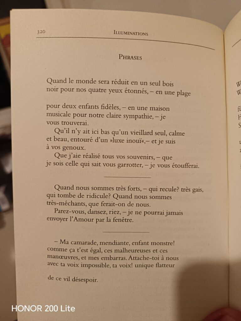 wp 1773386208582860680509573127229