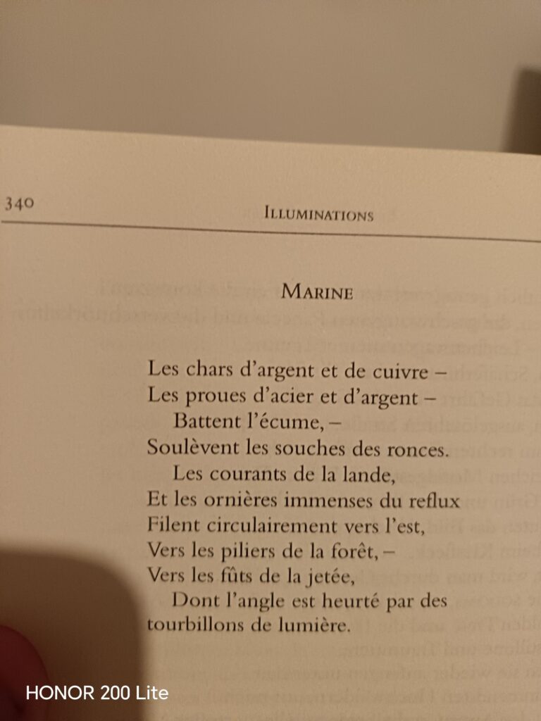 wp 17733862981561562200271088073307