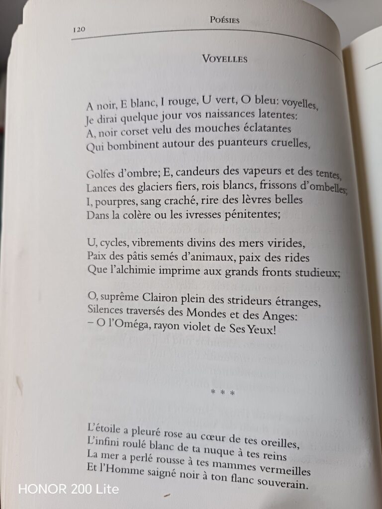 wp 17734856875553108276617174002866