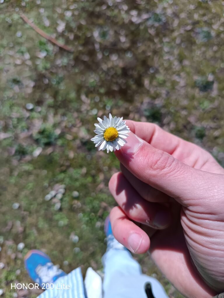 wp 17746137252357827010491929570338