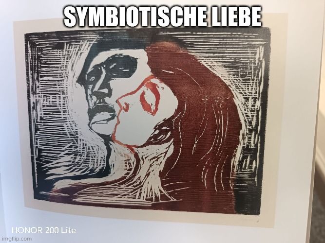 wp 17752479237588334859493873644949