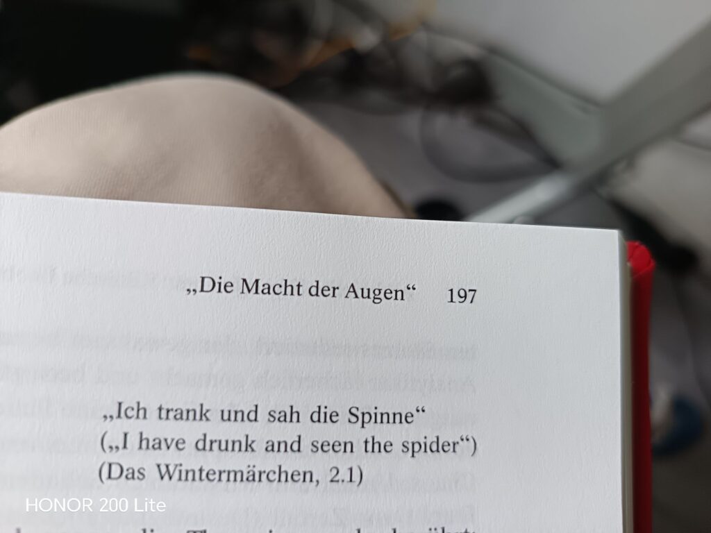 wp 17752877472634968024761564819971