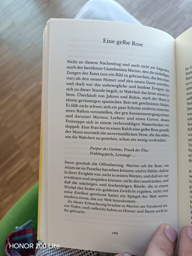 wp 17765127628117877659969361537342