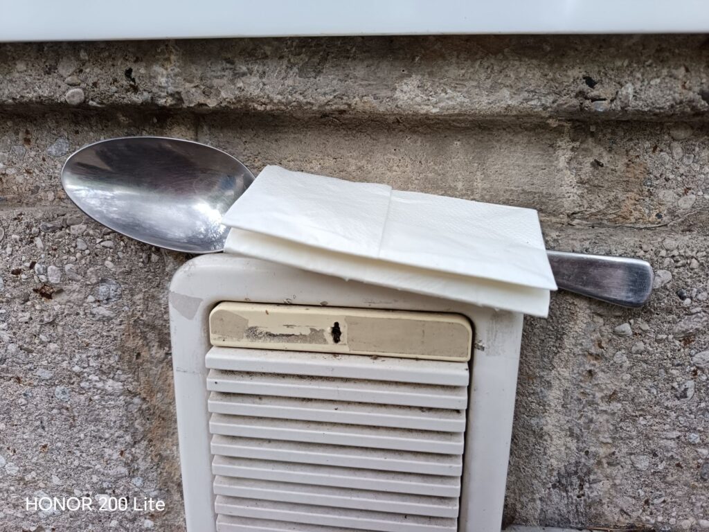 wp 17772257348893662402604138880823