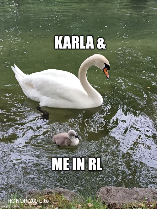 armabw