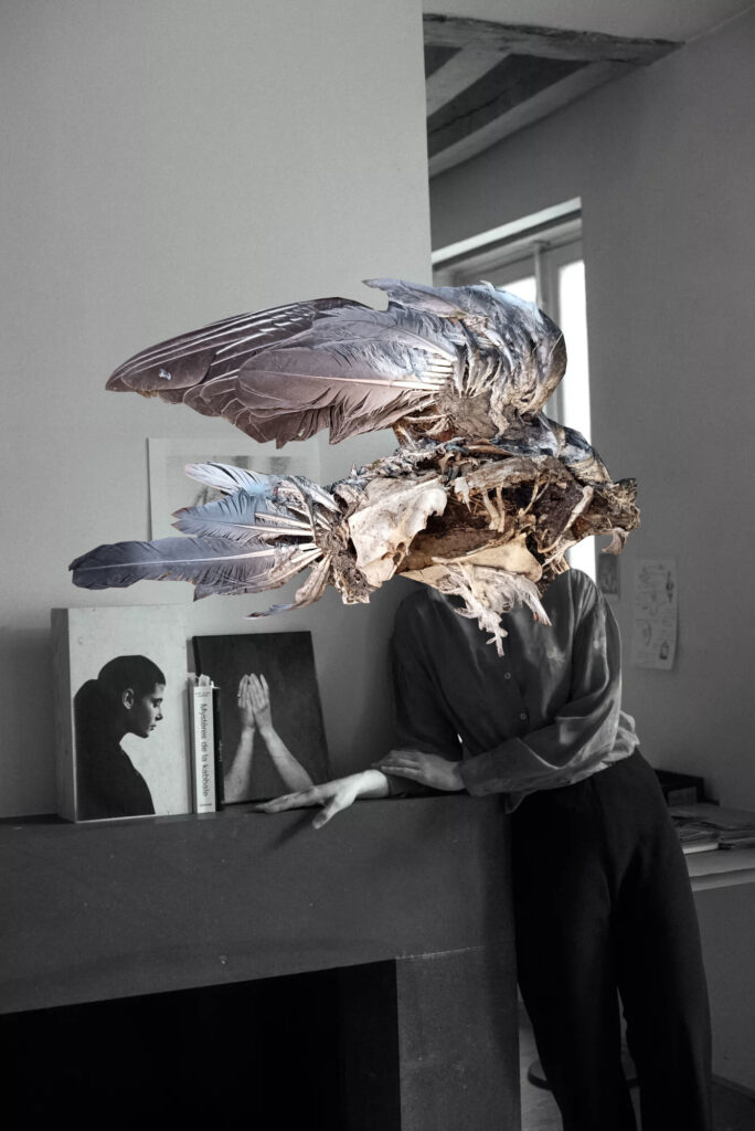 cfcaf55ee22eba5116ca9ea6da118bfe l