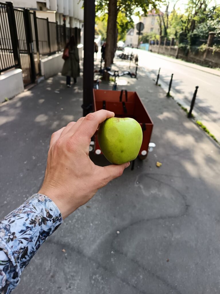 wp 17620851544009069310456714336526