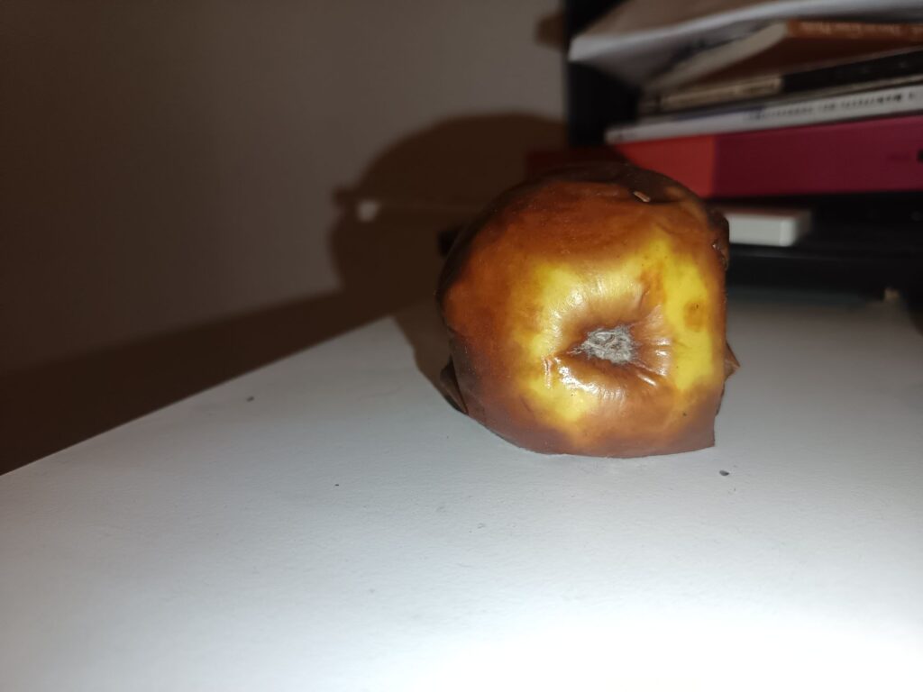 wp 17622062001176431538386982558547