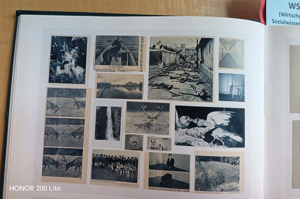 wp 17717566014272565350247782202397