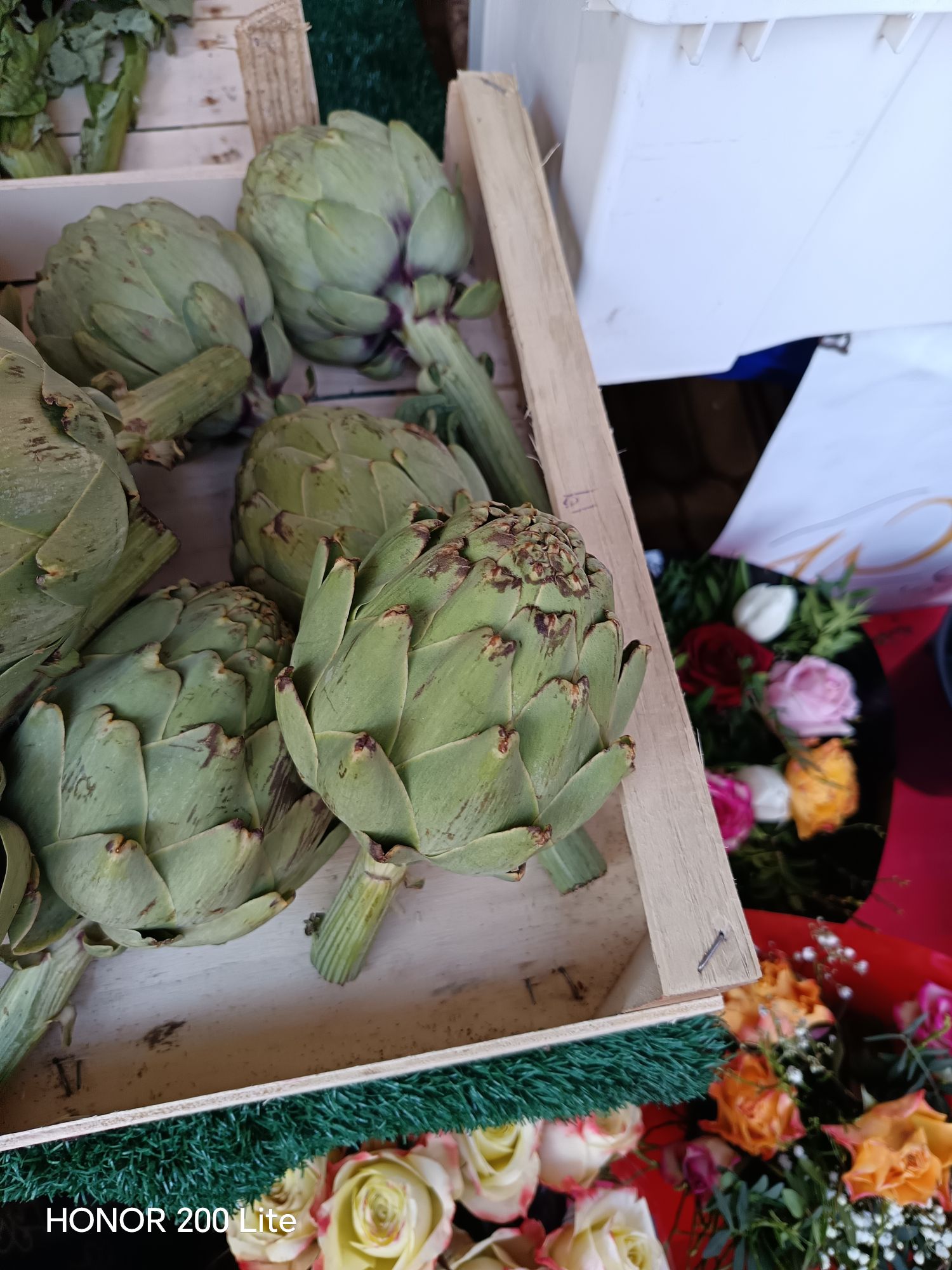 wp 17727361317223587532990071470149