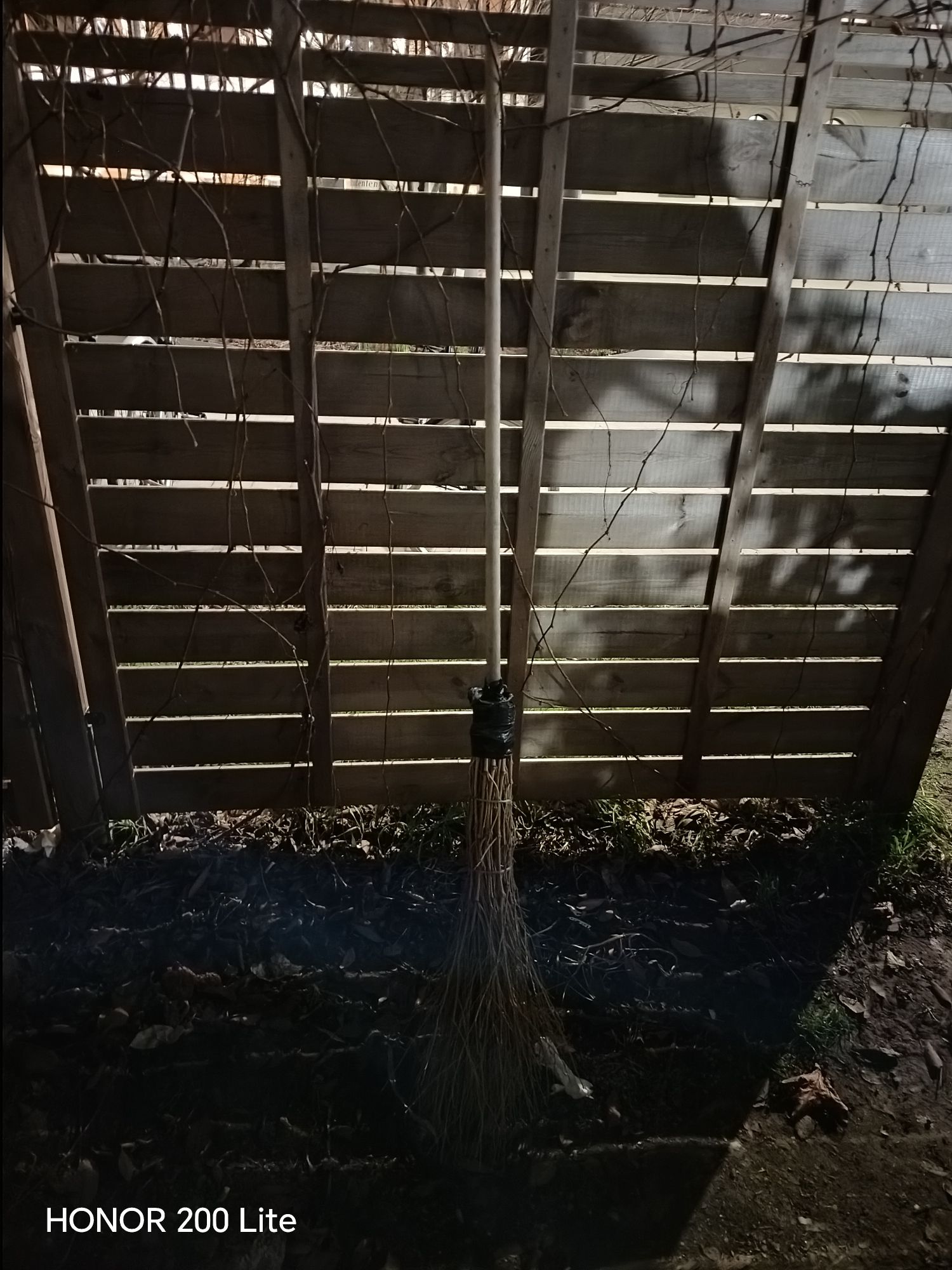 wp 17728732520189217815906784334936