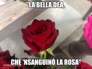 apn7o38661669857935394146