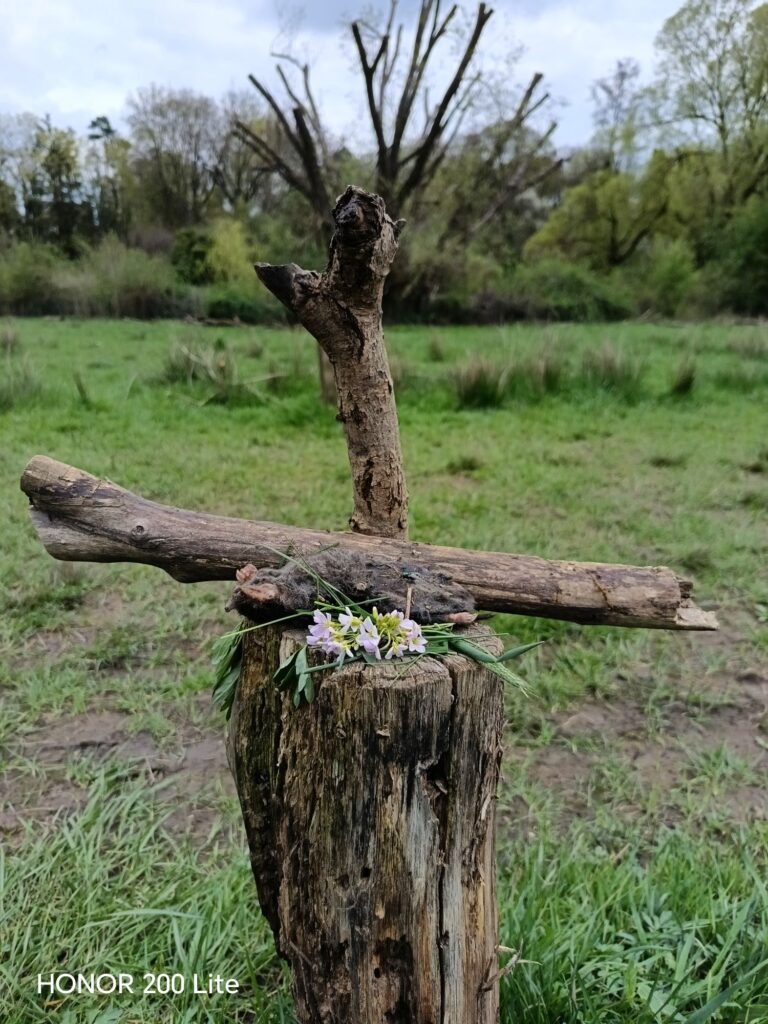 wp 17763541540358655462299176984341