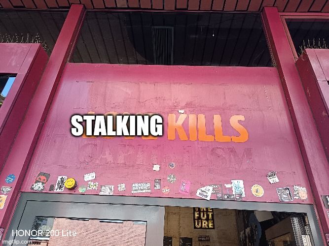 wp 17771206244583030330666500212186