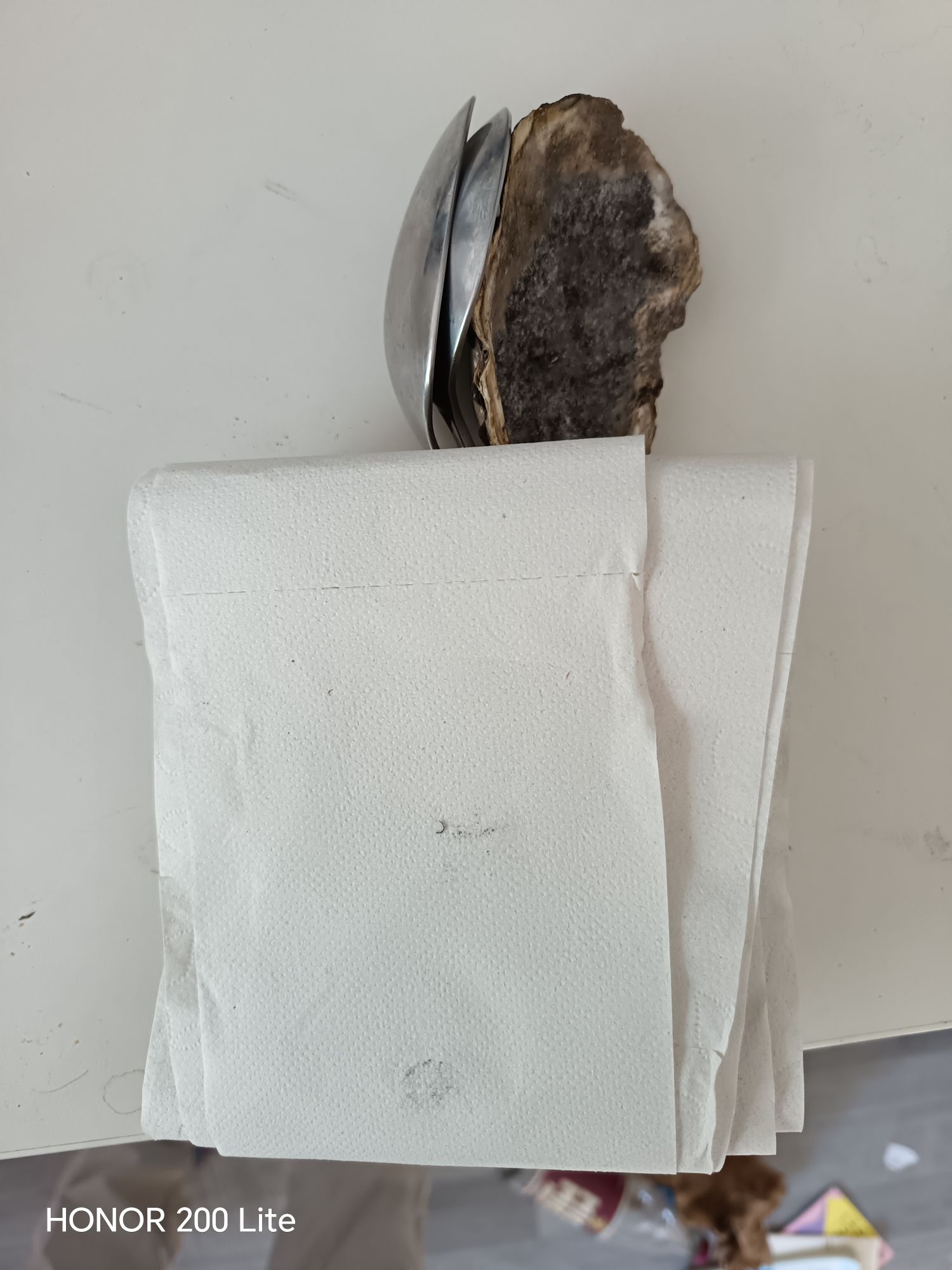 wp 17771929502641040115063503465379