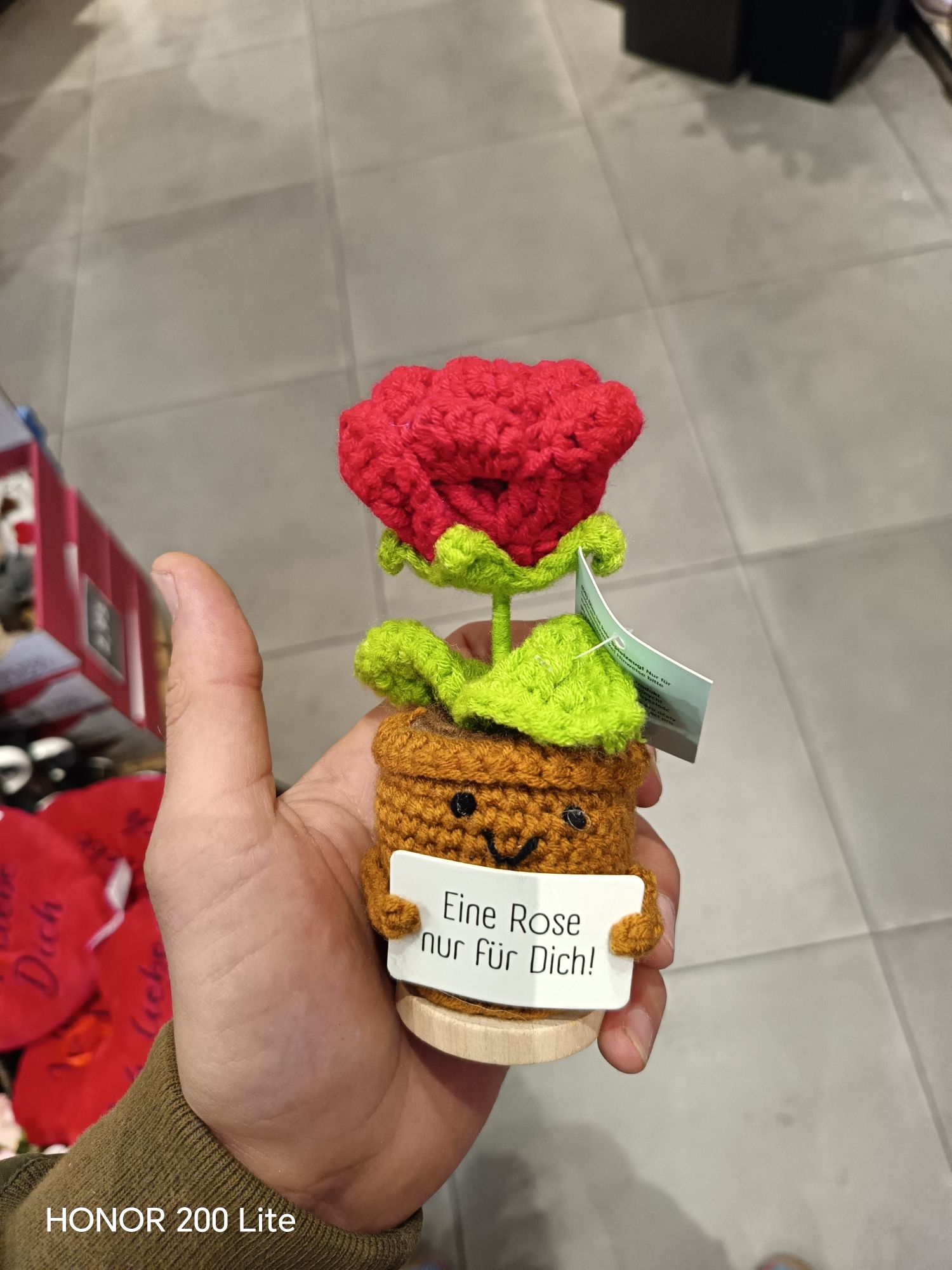 wp 17771947559531995407878946578426