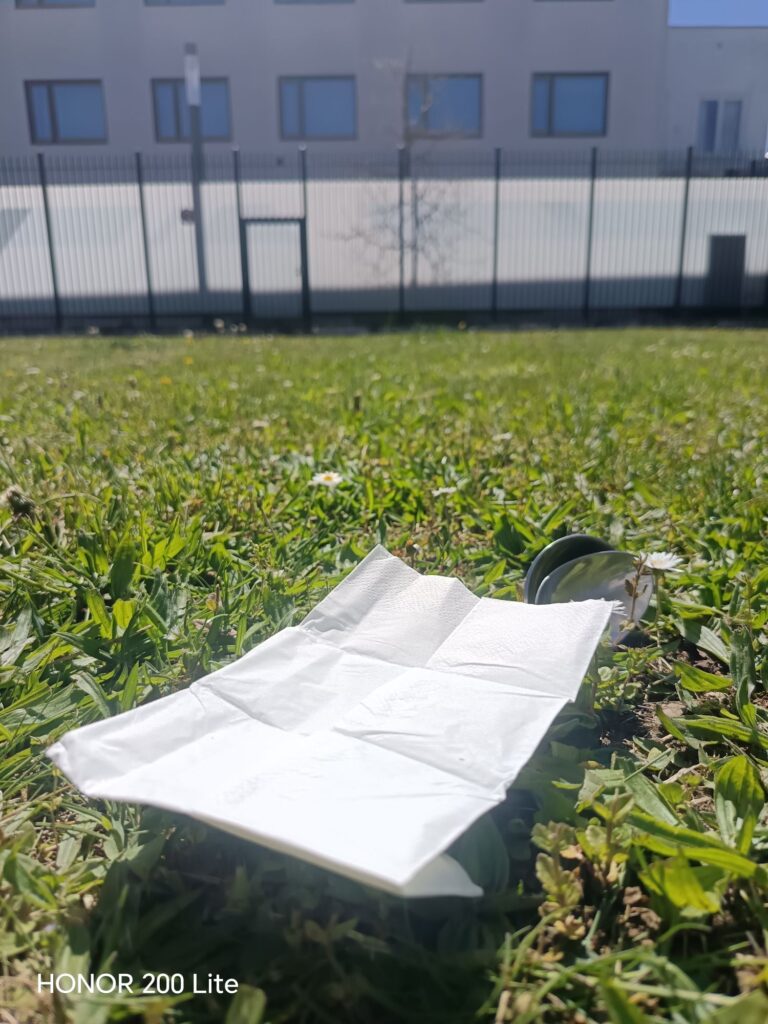 wp 17772050924047742992297262301673