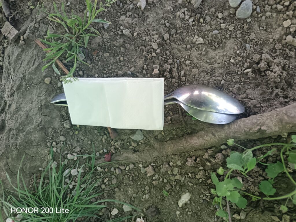 wp 17772057457986455095139437132291