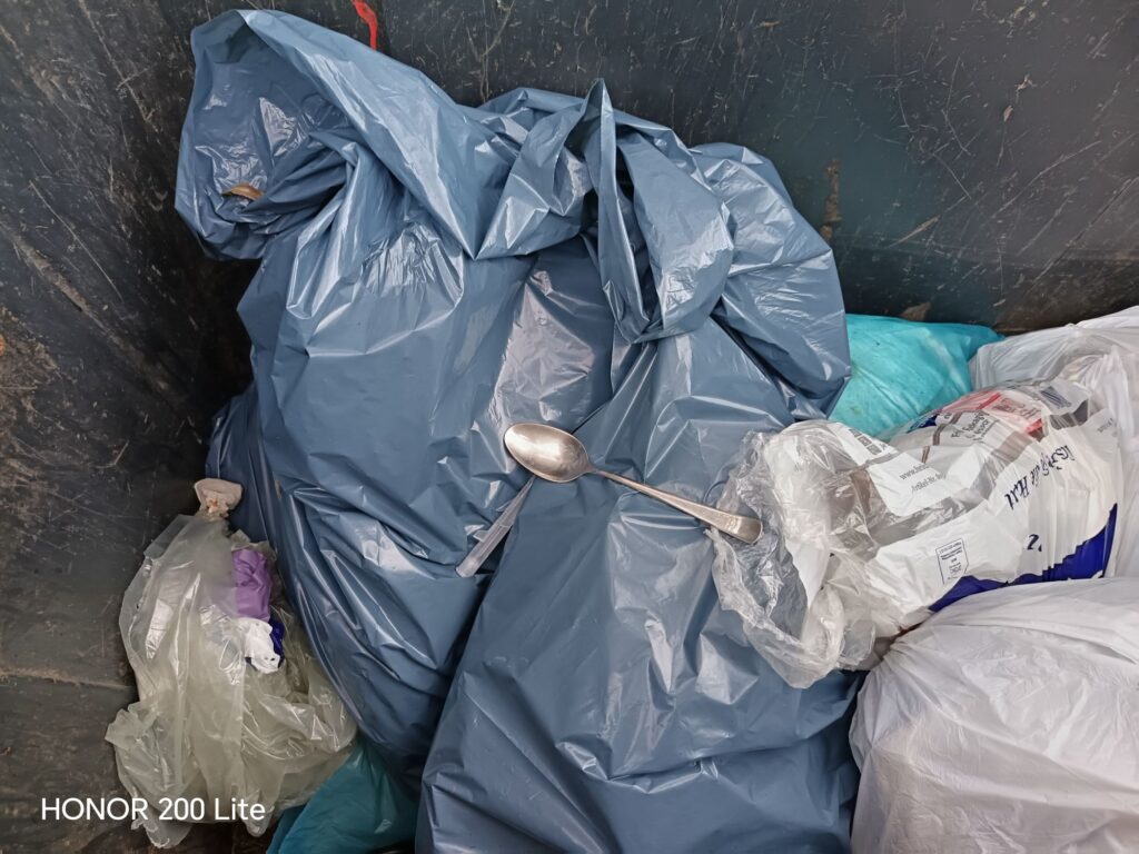 wp 17772256262898163276048768893732