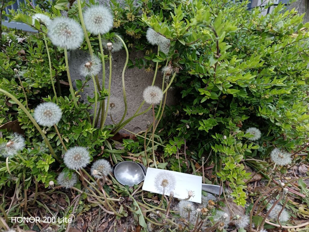 wp 17772257930871373114898116986886