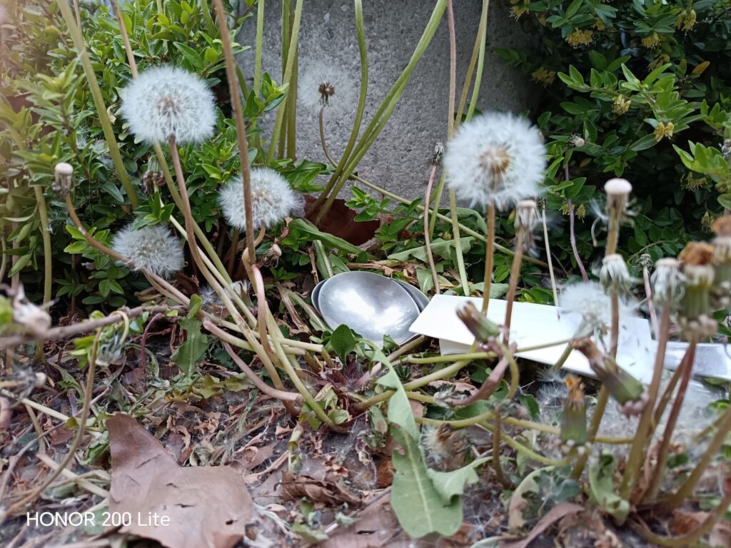 wp 17772258775814720025246826113068