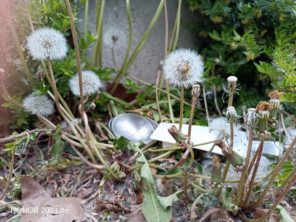 wp 17772258862622218873884081448895