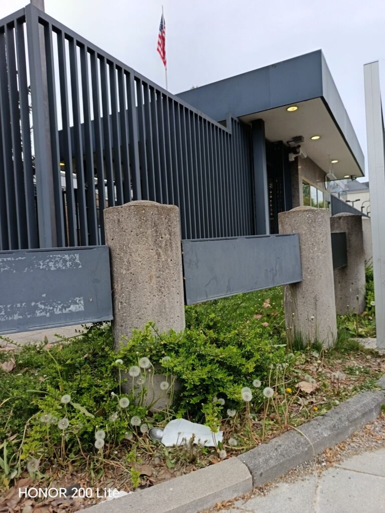 wp 17772259025055689384916563598845