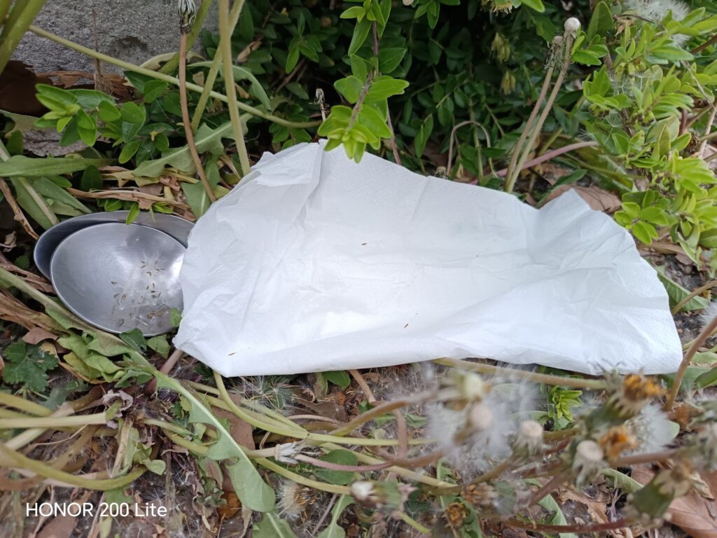 wp 17772259256201421689087883195231