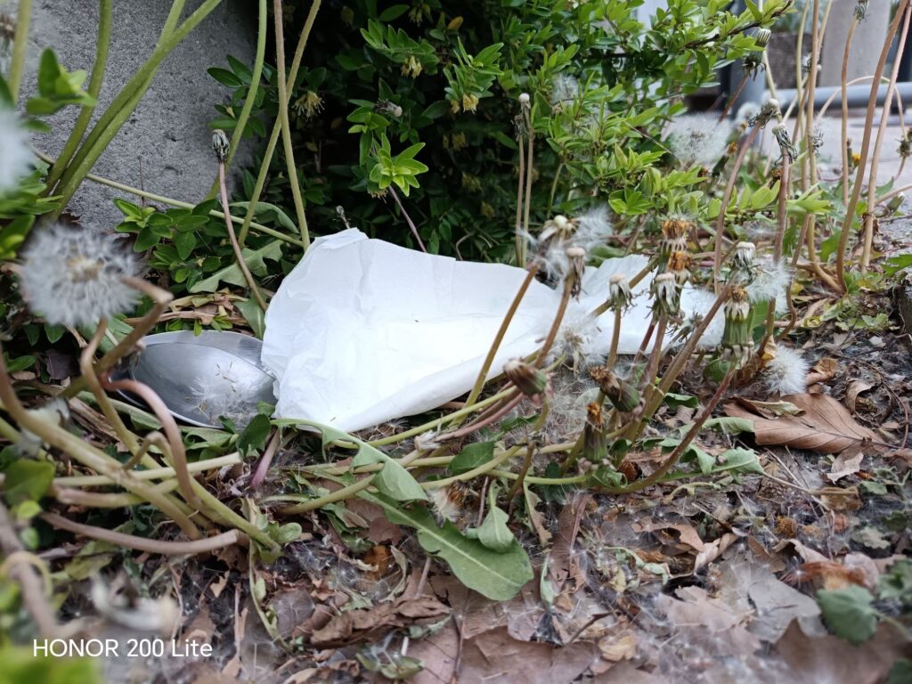 wp 17772259661336694683937770657772