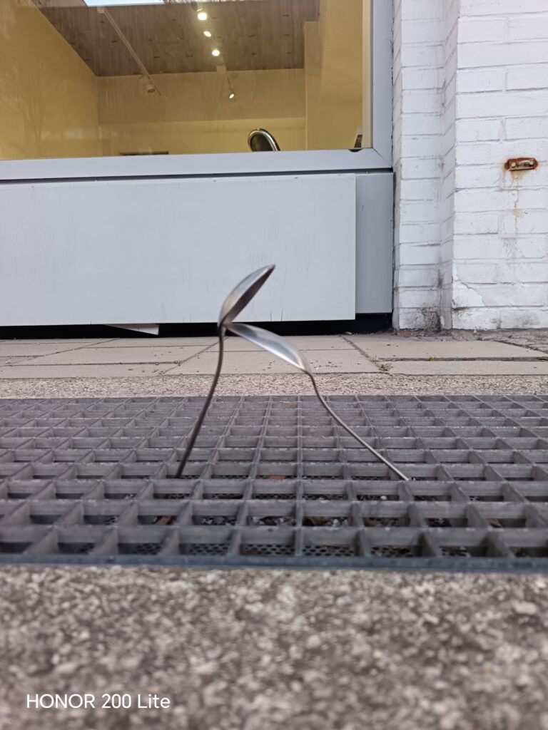 wp 17772279708996670873606587966050